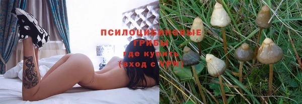спиды Елабуга