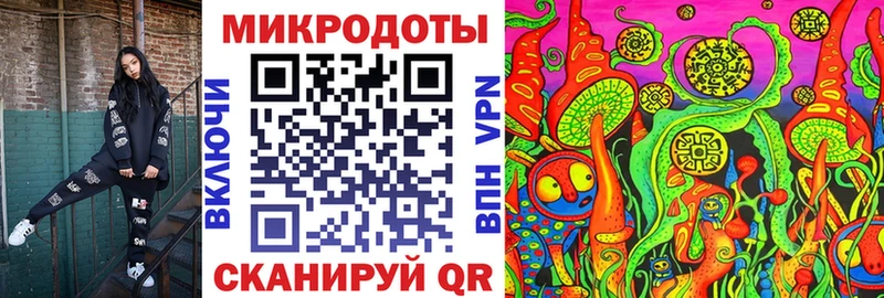 Купить закладки  Ковдор  Псилоцибиновые грибы GOLDEN TEACHER 